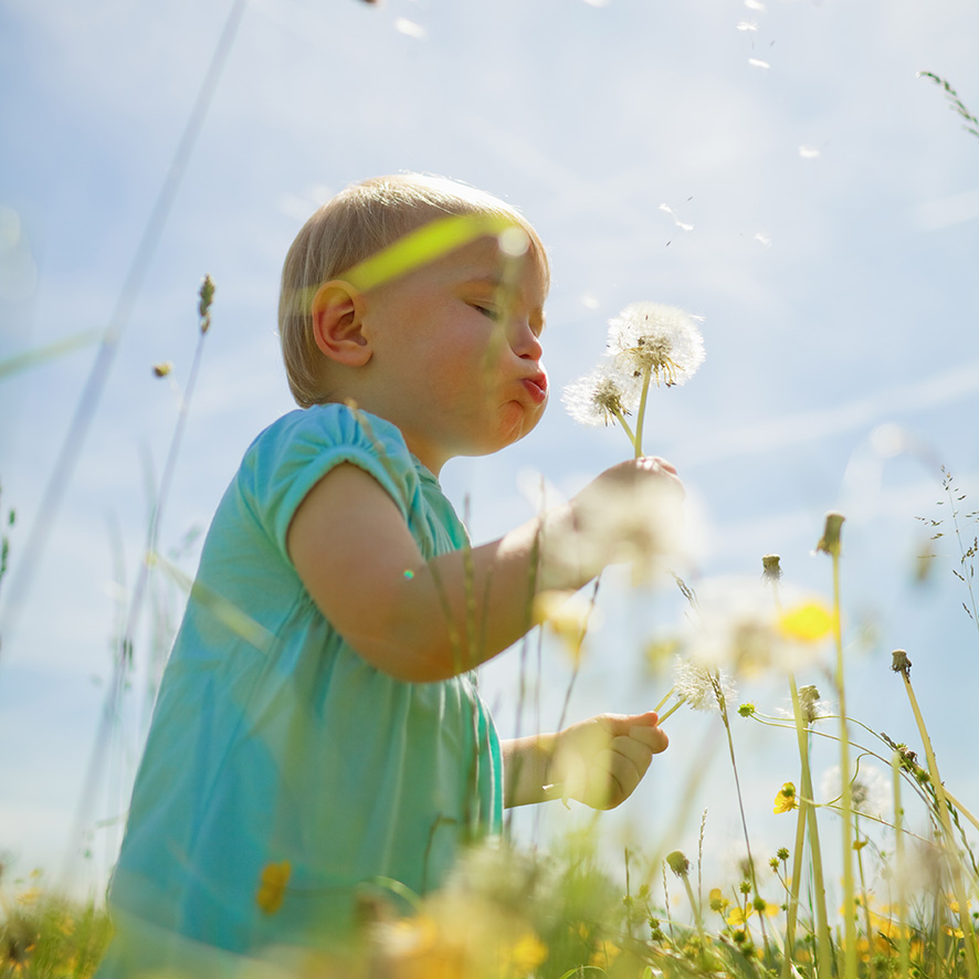 bilde av barn i blomstereng
